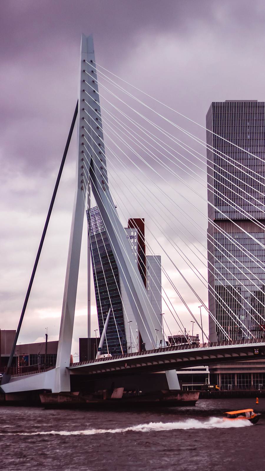 Erasmusbrug vanaf de Maasboulevard